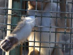 -南京金牛湖风景区