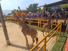 -西霞口神雕山野生动物世界