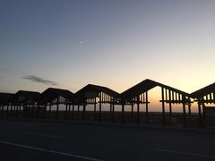 卧龙湖回车区-红海滩国家风景廊道