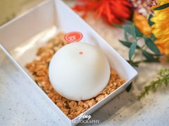 提拉米苏大福-双风车咖啡馆 Twin Windmills(六道口店)