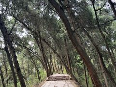 -金堂县云顶石城风景区