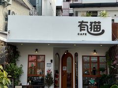 -有猫主题·治愈系猫咖(曾厝垵店)