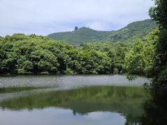 -杭州半山国家森林公园