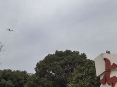 -七宝老街-闵行市民文化广场