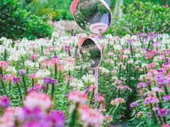 -云溪植物园