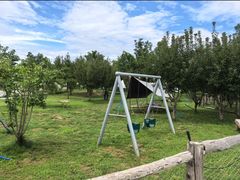 -爪吧宠物乐园 (温榆河示范区店)