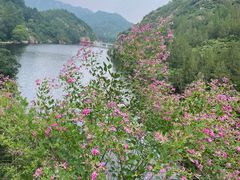 -仙居谷风景区