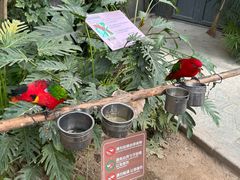 -南宫五洲植物乐园