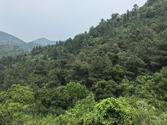 -灵岩山风景区