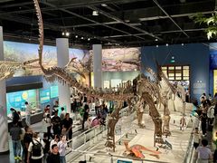 -国家自然博物馆