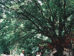-望江楼公园