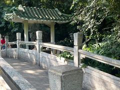 -广州兰圃
