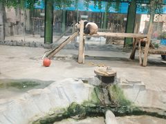 -栾川竹海野生动物园