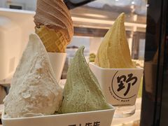 -野人先生现做冰淇淋(北京环宇荟店)