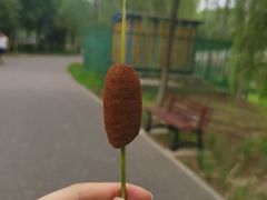 -东郊湿地公园