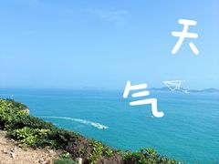 -杨梅坑