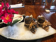 冰镇海螺-顺德了能馆(虎门店)