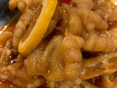 -赤甲皇(仙霞路店)