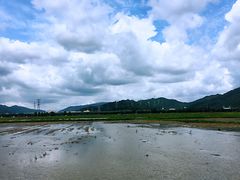 -崖口云吞(中堡店)