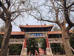 -中岳庙