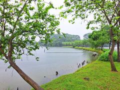 -松山湖风景区松湖烟雨