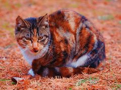 -苏州河梦清园环保主题公园