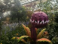 -沈阳植物园
