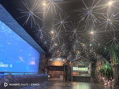 -华夏文旅西安度假区