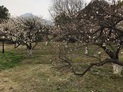 -白马涧龙池景区