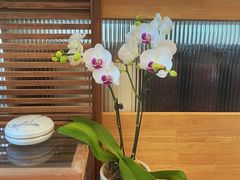 -墨宴(西洋湖店)