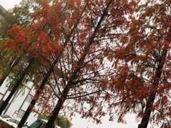 -庐山天沐温泉度假村