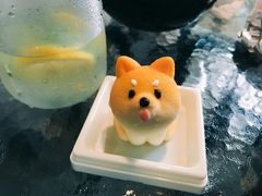 -柴犬高等学院·狗咖·柴犬售卖·宠物训练