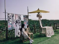 -阳澄湖半岛旅游度假区