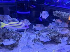 -上和臻品中国菜(花园街店)