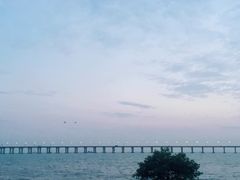 -宝安西湾红树林湿地公园