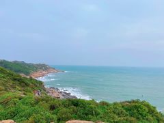 -广东惠东海龟国家级自然保护区
