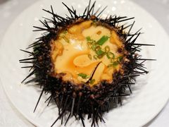 海胆-万宝海鲜舫(劳动公园店)