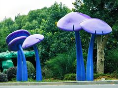 -杭州野生动物世界