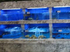 -香山湖渔家大院