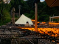 -秦岭风景区
