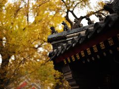 -北京艺术博物馆(万寿寺)