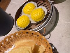 -寨子里的·钵钵菜·湘西山里菜(魅力湘西店)