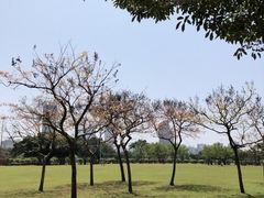 -万绿园