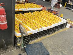 芒果-堤口果品批发市场