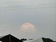 -长洲岛都市农业公园