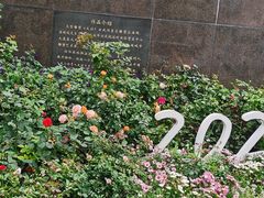 -金光华广场