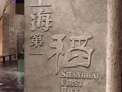 -上海崧泽遗址博物馆