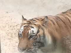 -昆明动物园