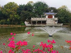 -金花茶公园