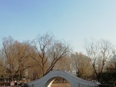 -康庄公园